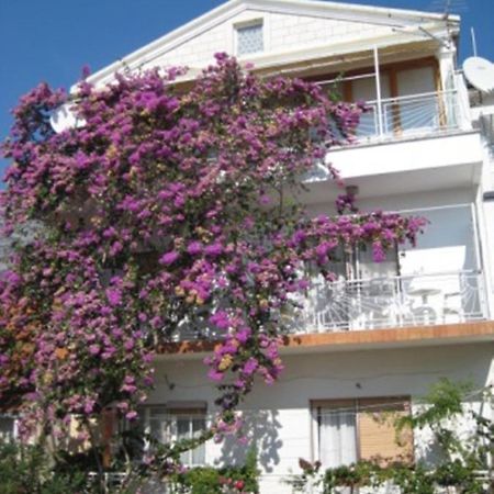 Apartman Graciela Perfect Location Gradac Gradac (Split-Dalmatia) Exterior foto