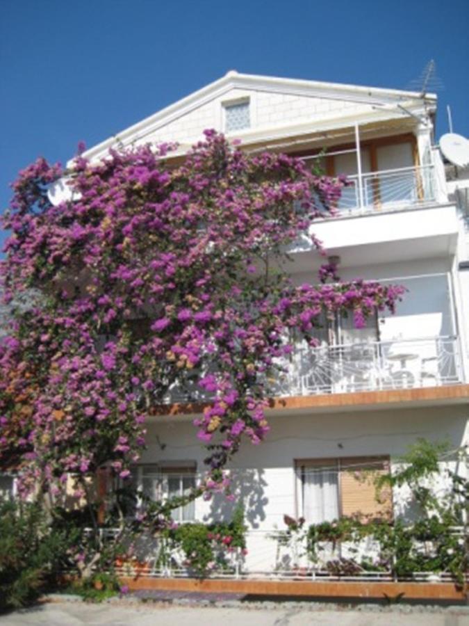 Apartman Graciela Perfect Location Gradac Gradac (Split-Dalmatia) Exterior foto