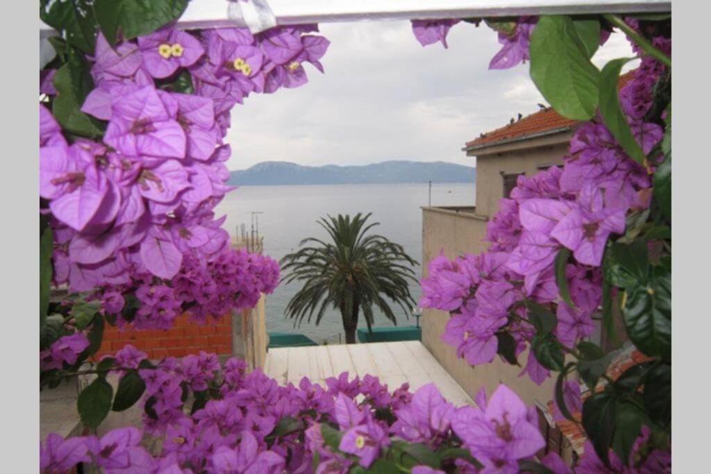 Apartman Graciela Perfect Location Gradac Gradac (Split-Dalmatia) Exterior foto