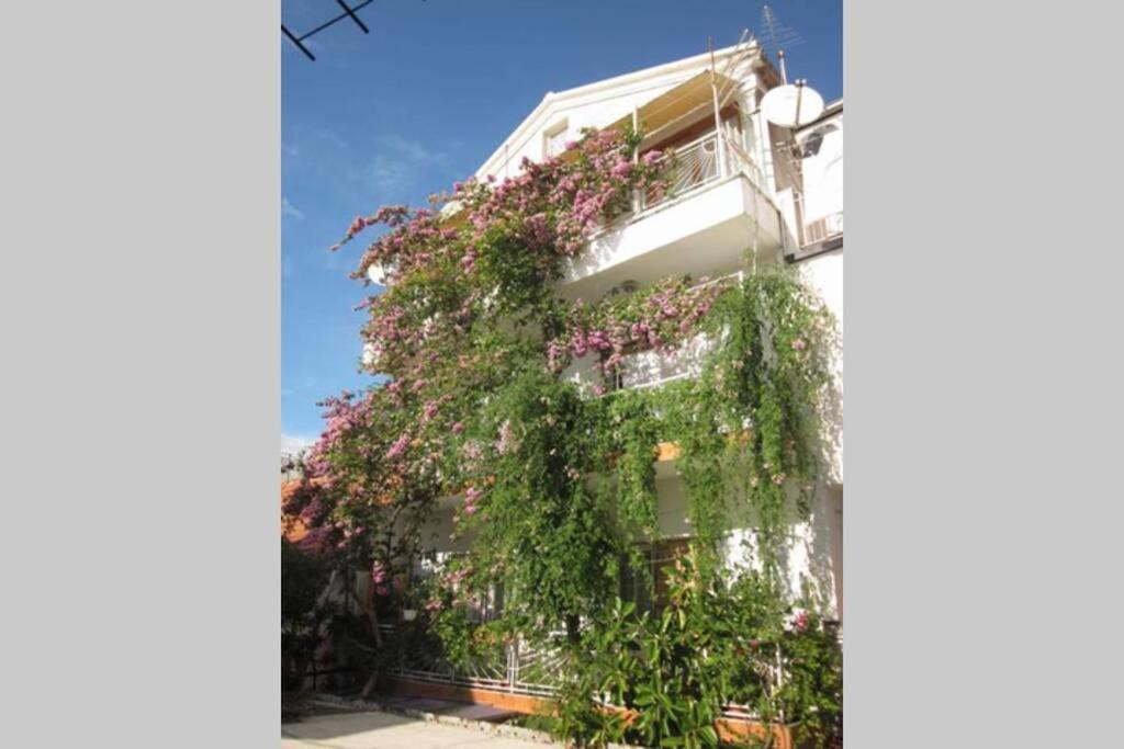 Apartman Graciela Perfect Location Gradac Gradac (Split-Dalmatia) Exterior foto
