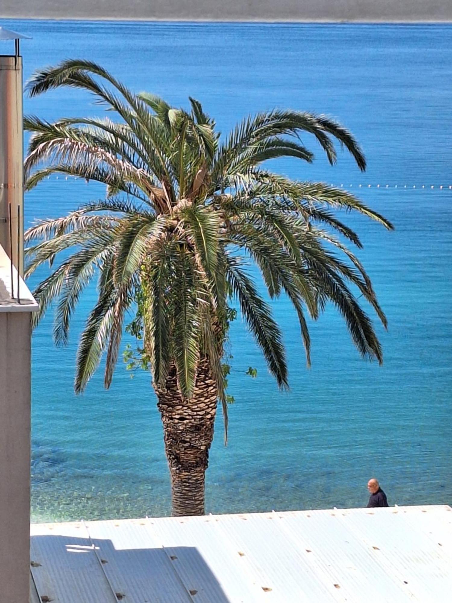 Apartman Graciela Perfect Location Gradac Gradac (Split-Dalmatia) Exterior foto